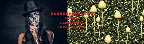 ECSTASY Нягань