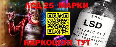 хмурый Гатчина