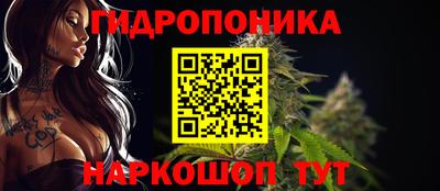 хмурый Гатчина