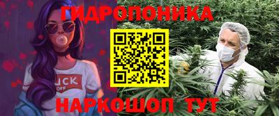 хмурый Гатчина