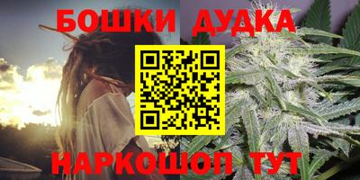 хмурый Гатчина