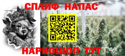МДПВ Моздок