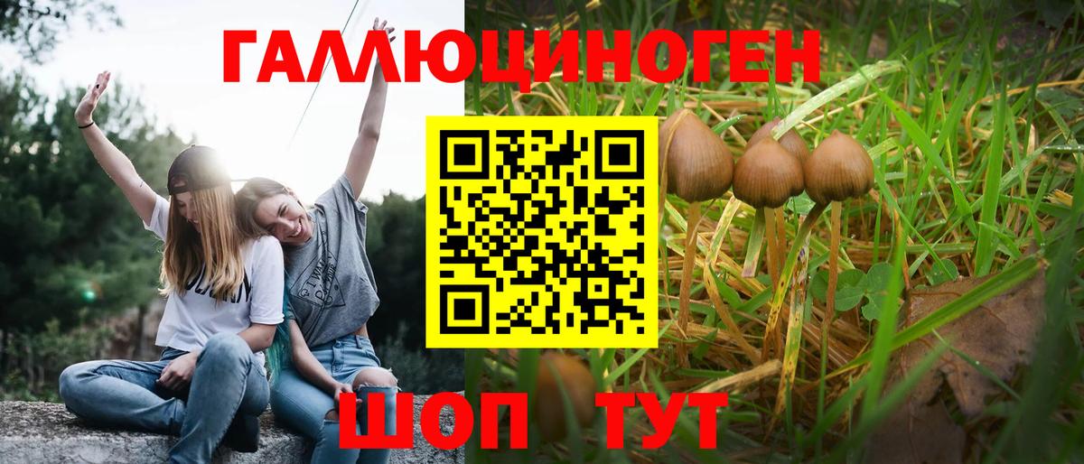 Псилоцибиновые грибы мухоморы  Псилоцибиновые грибы Magic Shrooms  Чебоксары  Вход с VPN 