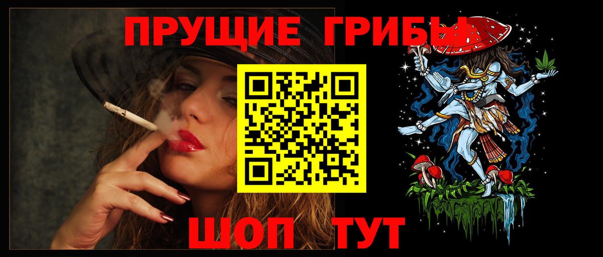 Галлюциногенные грибы Psilocybe  Чебоксары 